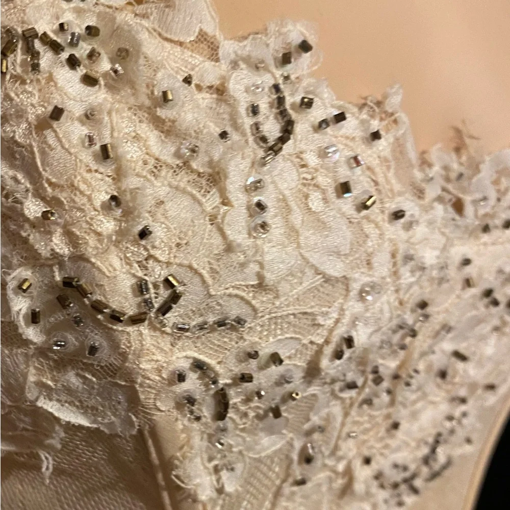 Fine Silk& Lace Bustier Gorgeous! champagne color - Picture 3 of 11